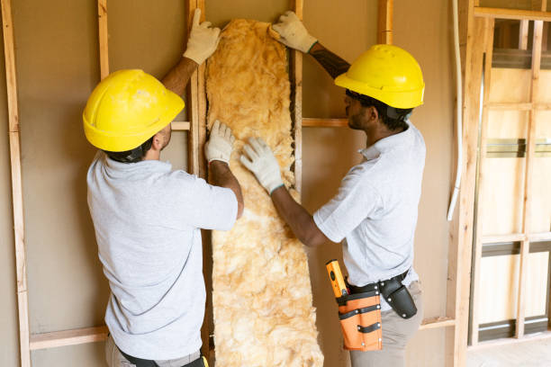 Best Insulation for New Construction  in Alpine, NJ
